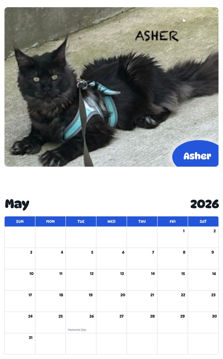 2026 - 2027 Asher - Pawidols Pet Calendar