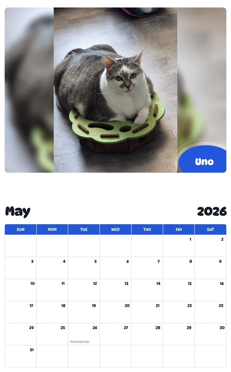 2026 - 2027 Uno - Pawidols Pet Calendar