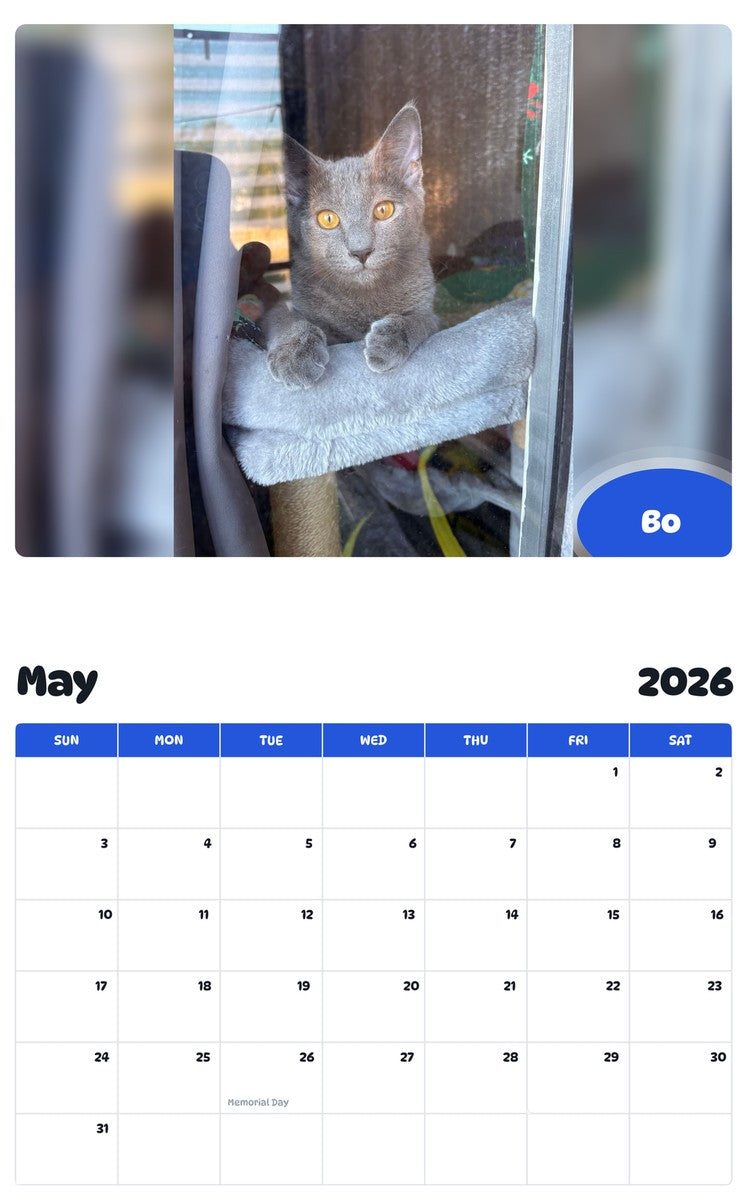 2026 - 2027 Bo - Pawidols Pet Calendar