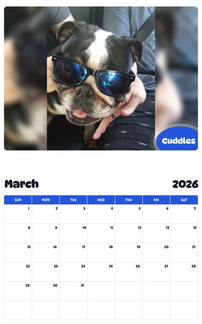 November 2025 - October 2026 Cuddles - Pawidols Pet Calendar