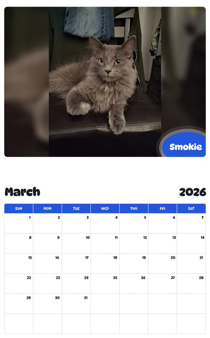 November 2025 - October 2026 Smokie - Pawidols Pet Calendar