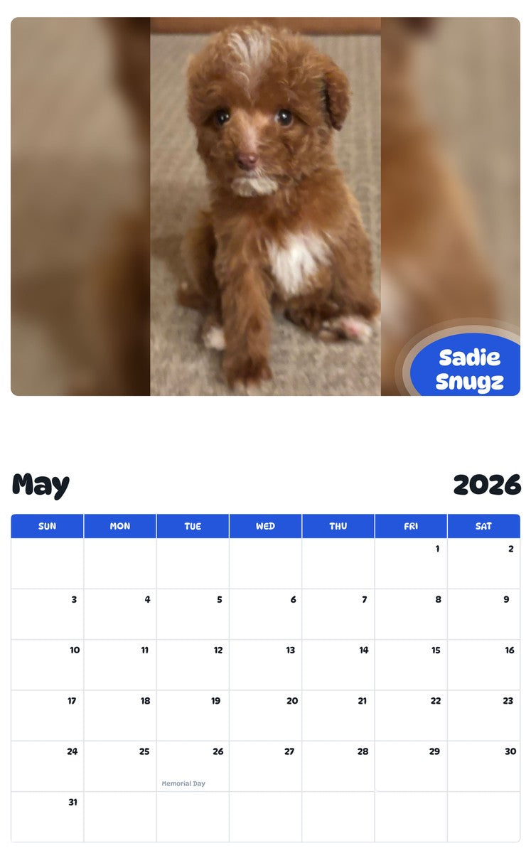 2026 - 2027 Sadie Snugz - Pawidols Pet Calendar