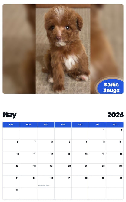 2026 - 2027 Sadie Snugz - Pawidols Pet Calendar