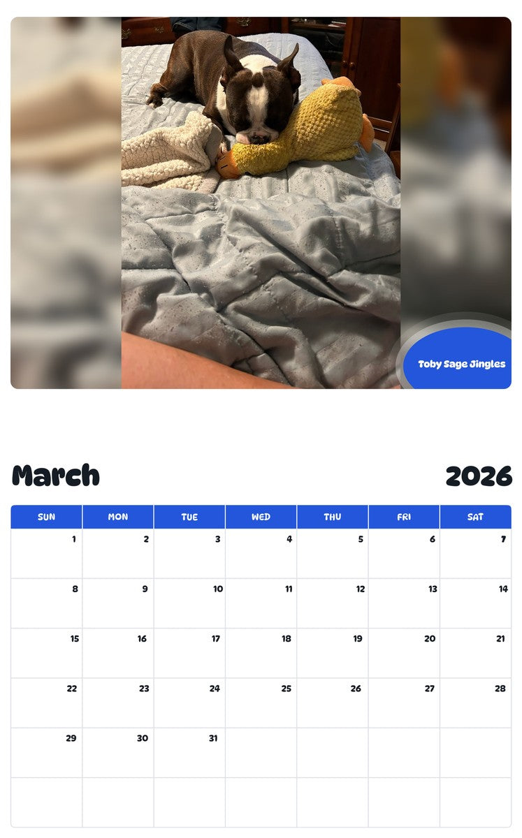 November 2025 - October 2026 Toby Sage Jingles - Pawidols Pet Calendar