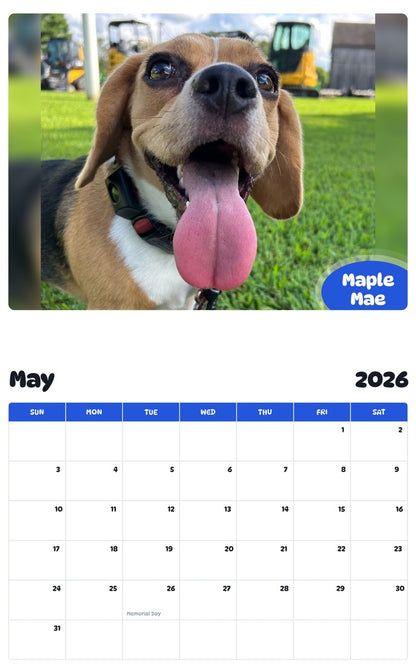 2026 - 2027 Maple Mae - Pawidols Pet Calendar