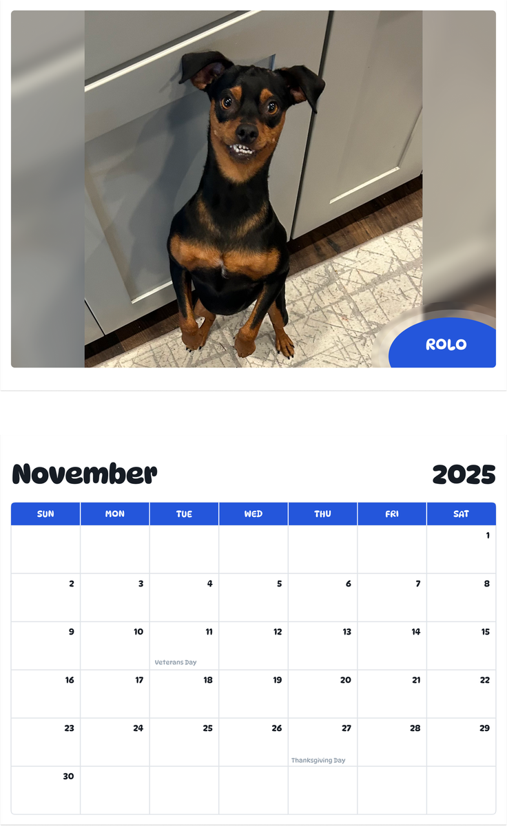July 2025 - June 2026 Rolo - Pawidols Pet Calendar