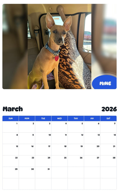 November 2025 - October 2026 MINE - Pawidols Pet Calendar