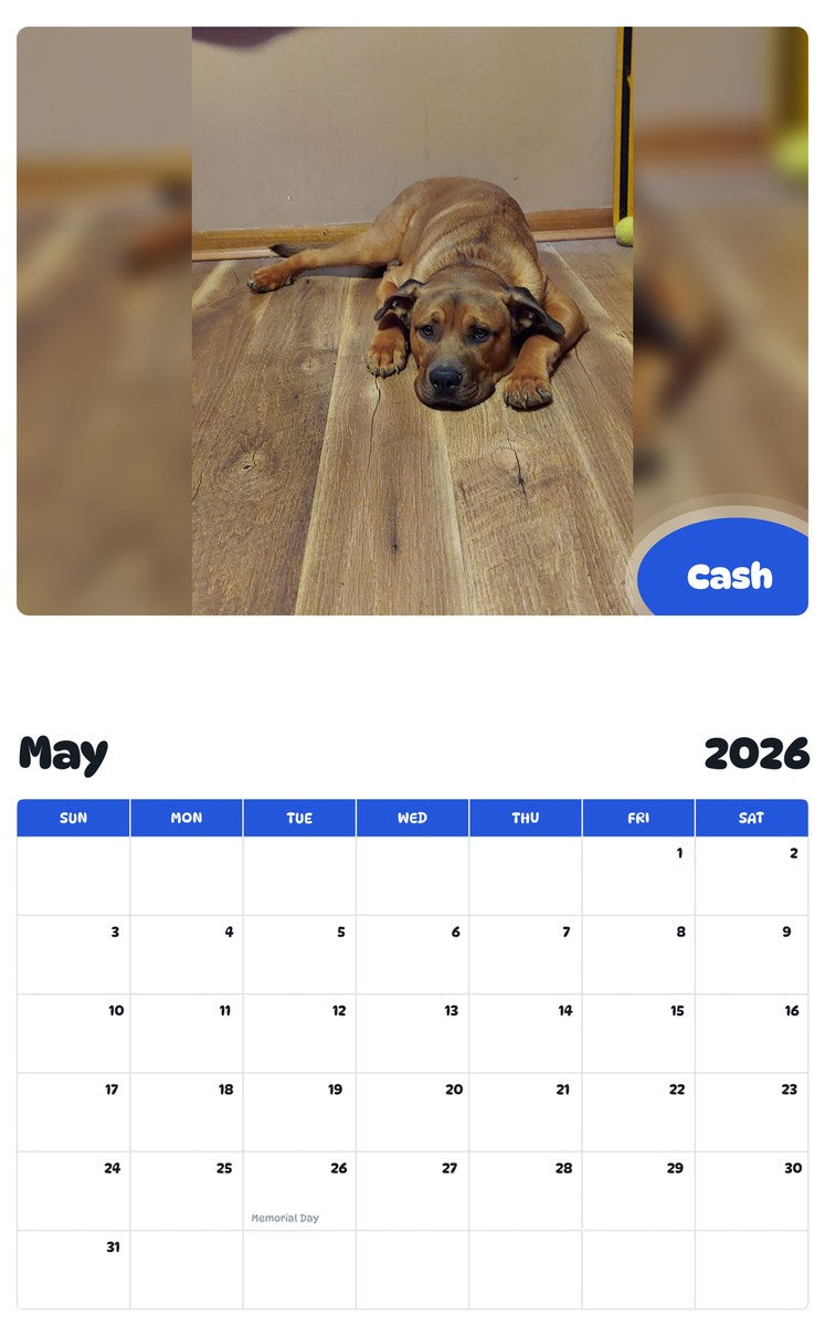 2026 - 2027 Cash - Pawidols Pet Calendar
