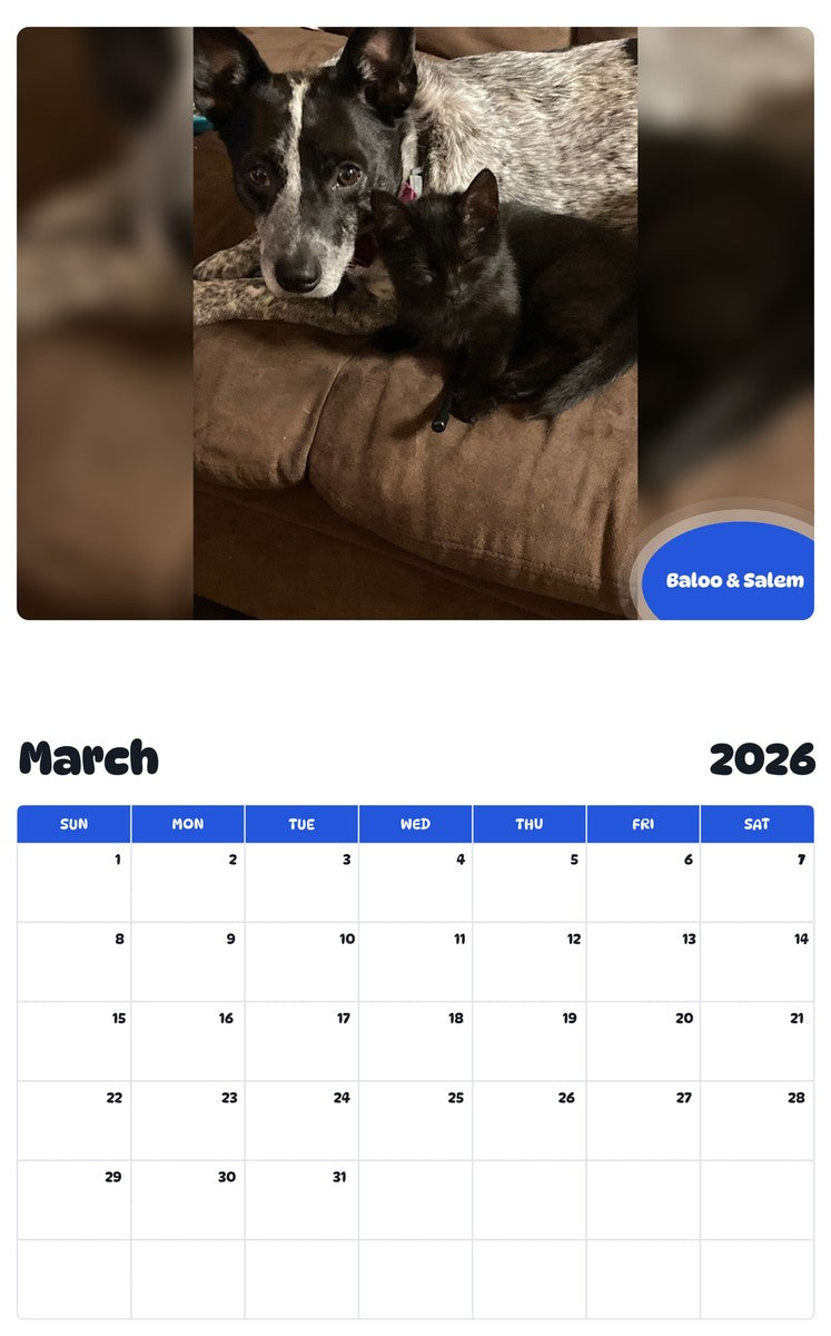 November 2025 - October 2026 Baloo & Salem - Pawidols Pet Calendar