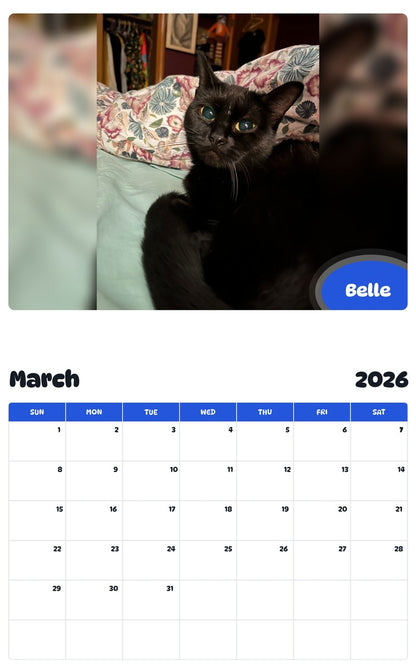 November 2025 - October 2026 Belle - Pawidols Pet Calendar