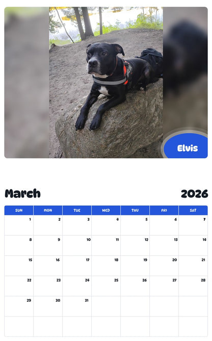 November 2025 - October 2026 Elvis - Pawidols Pet Calendar