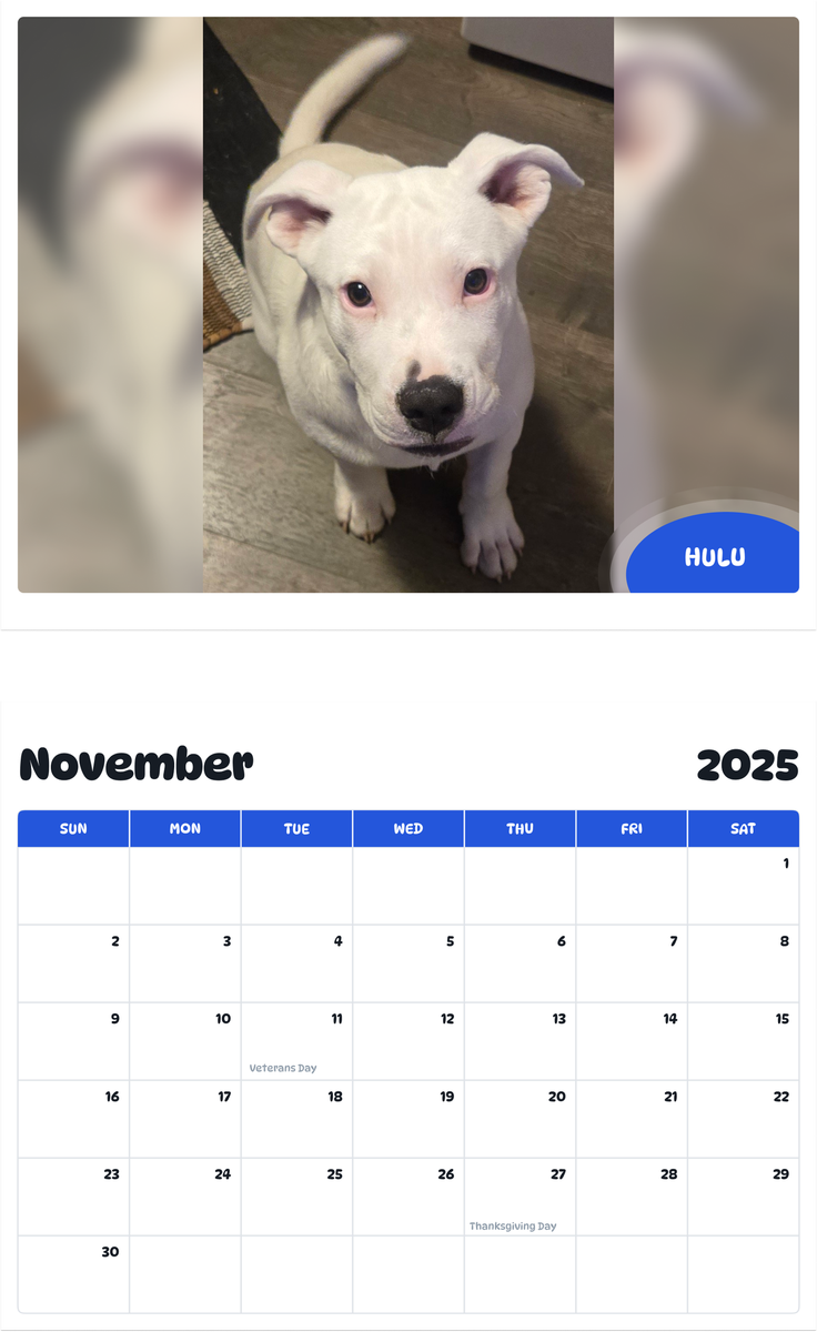 July 2025 - June 2026 HULU - Pawidols Pet Calendar