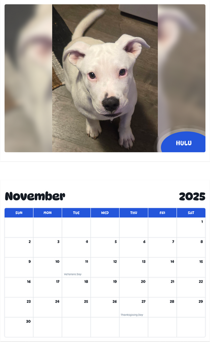 July 2025 - June 2026 HULU - Pawidols Pet Calendar