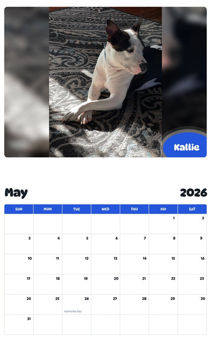2026 - 2027 Kallie - Pawidols Pet Calendar