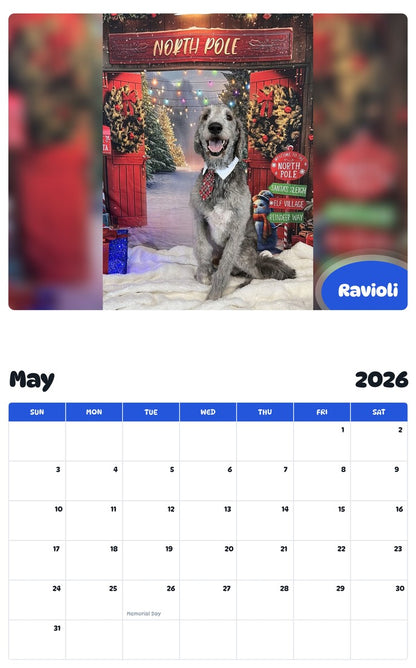 2026 - 2027 Ravioli - Pawidols Pet Calendar