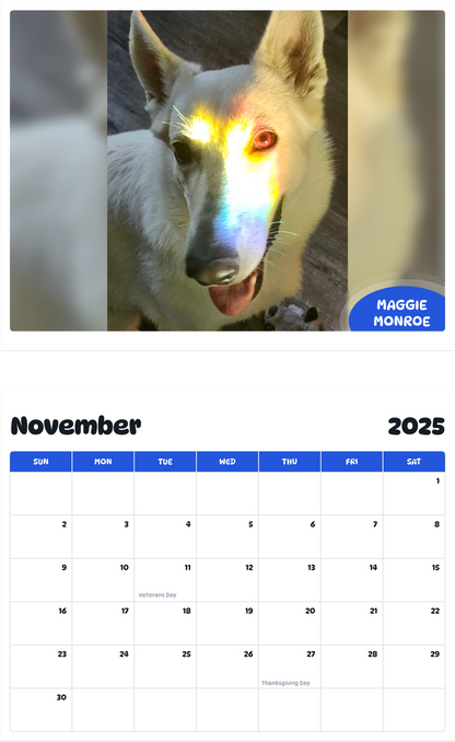 July 2025 - June 2026 Maggie Monroe - Pawidols Pet Calendar
