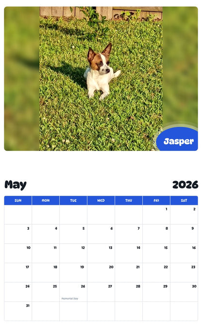 2026 - 2027 Jasper - Pawidols Pet Calendar