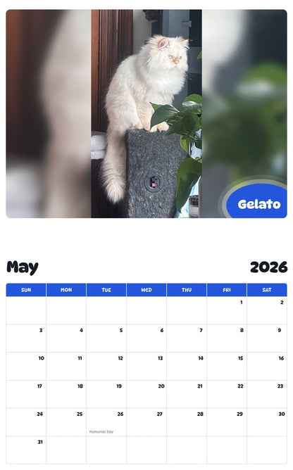 2026 - 2027 Gelato - Pawidols Pet Calendar