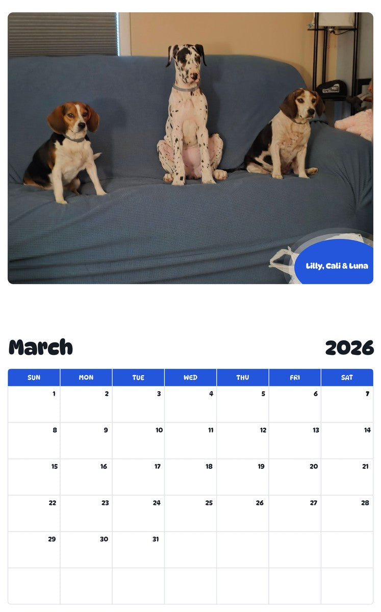 November 2025 - October 2026 Lilly, Cali & Luna - Pawidols Pet Calendar