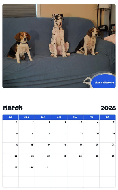 November 2025 - October 2026 Lilly, Cali & Luna - Pawidols Pet Calendar