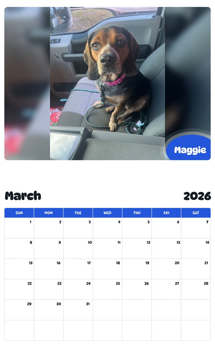 November 2025 - October 2026 Maggie - Pawidols Pet Calendar