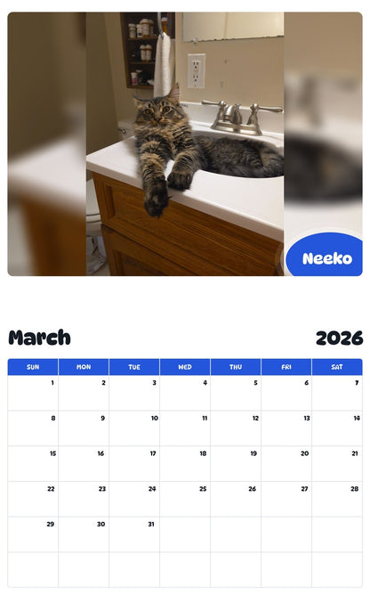 November 2025 - October 2026 Neeko - Pawidols Pet Calendar