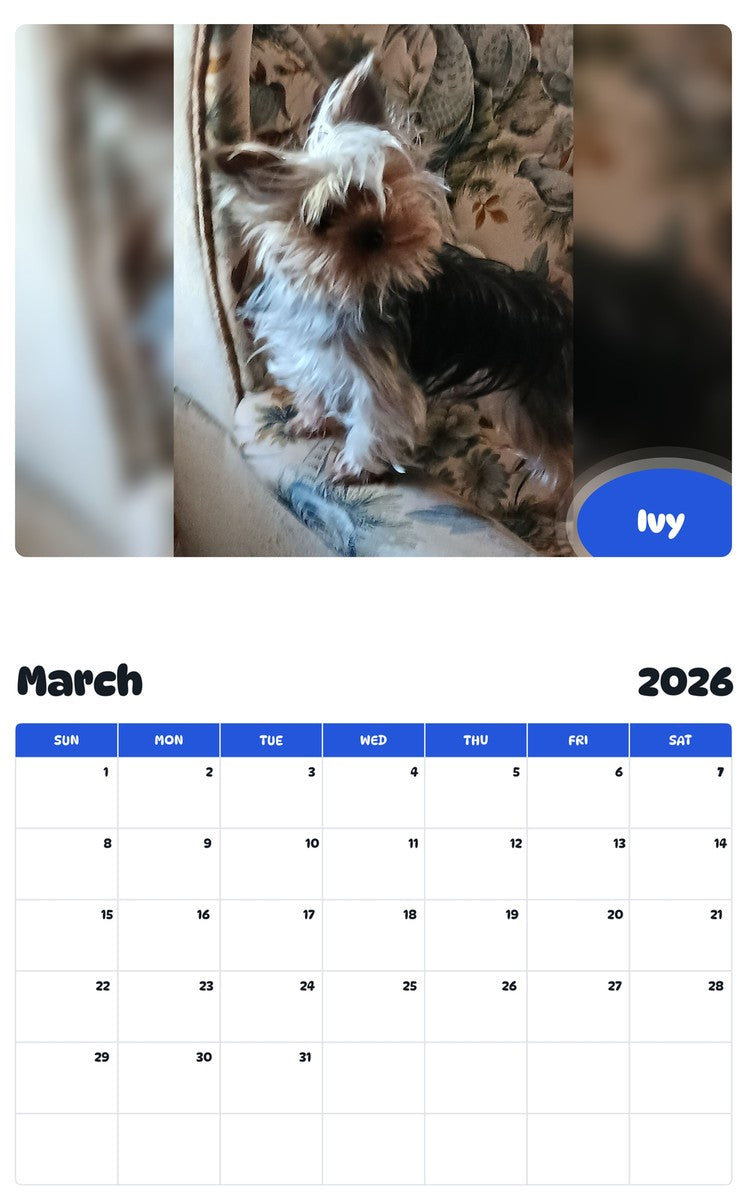 November 2025 - October 2026 Ivy - Pawidols Pet Calendar