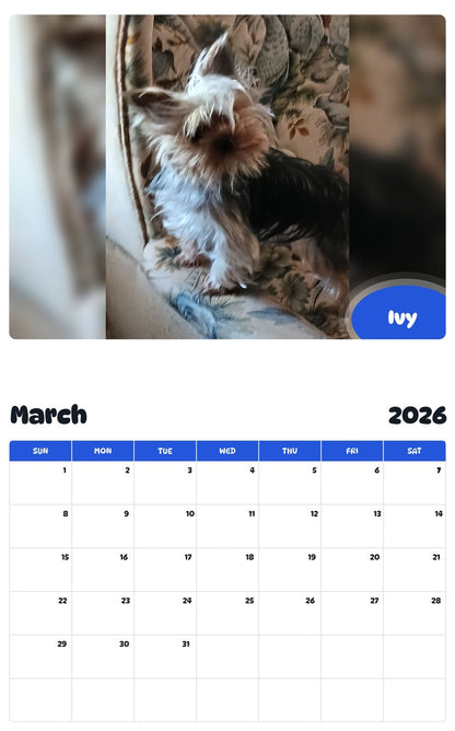 November 2025 - October 2026 Ivy - Pawidols Pet Calendar