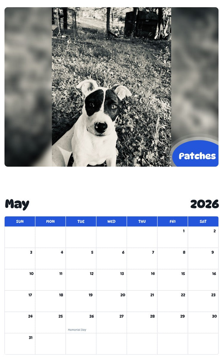 2026 - 2027 Patches - Pawidols Pet Calendar