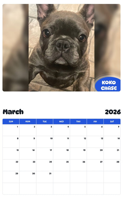 November 2025 - October 2026 KOKO CHASE - Pawidols Pet Calendar