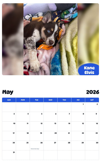 2026 - 2027 Kane Elvis - Pawidols Pet Calendar