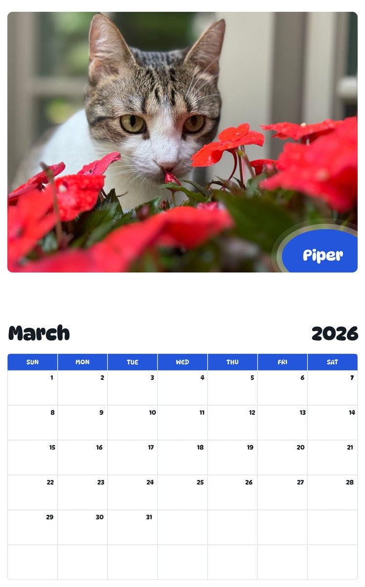 November 2025 - October 2026 Piper - Pawidols Pet Calendar