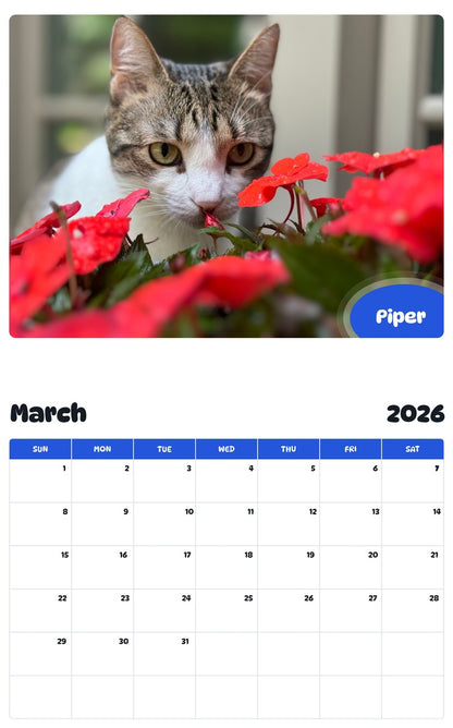 November 2025 - October 2026 Piper - Pawidols Pet Calendar