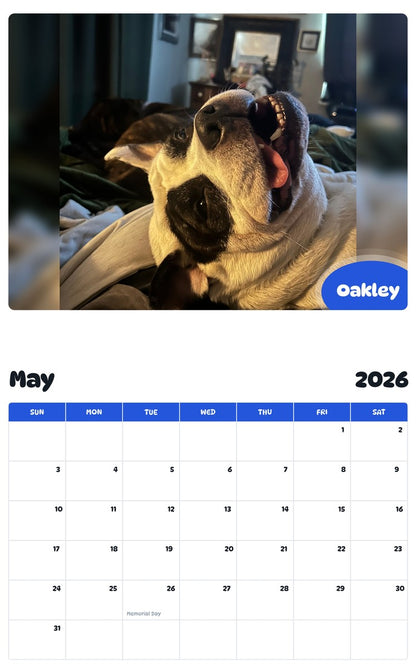 2026 - 2027 Oakley - Pawidols Pet Calendar