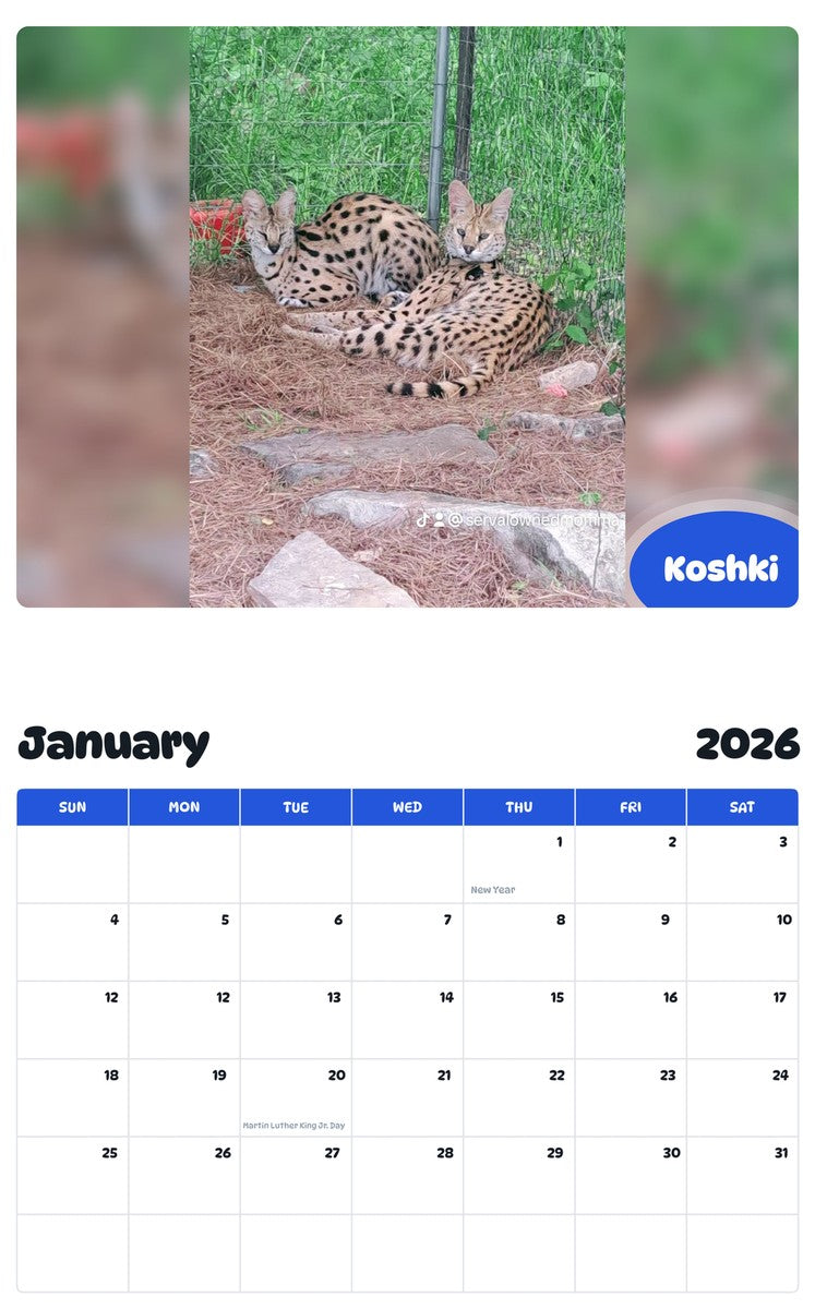 October 2025 - September 2026 Koshki - Pawidols Pet Calendar