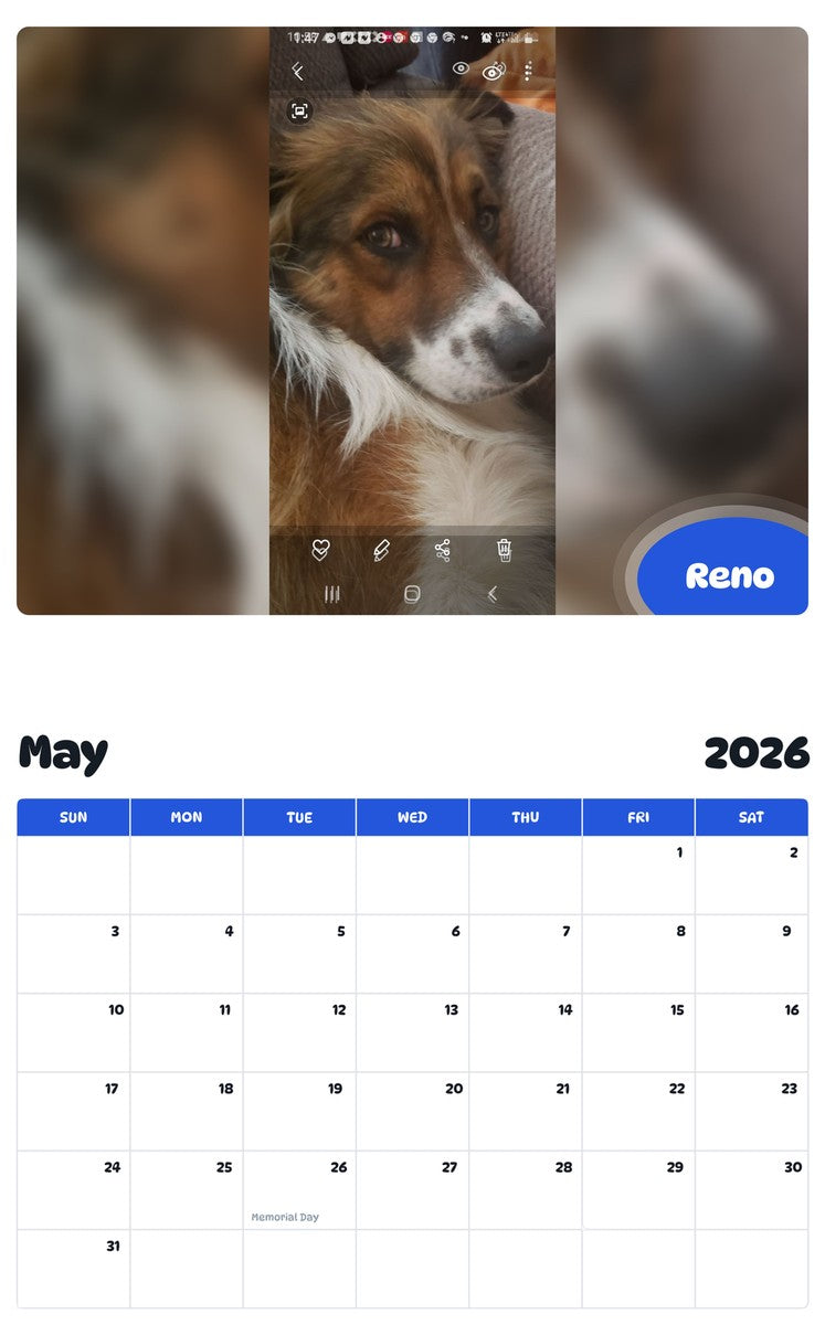 2026 - 2027 Reno - Pawidols Pet Calendar