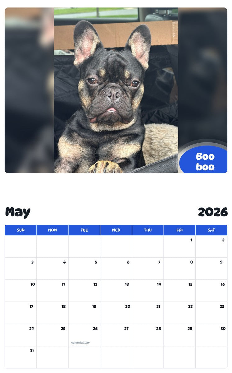 2026 - 2027 Boo boo - Pawidols Pet Calendar
