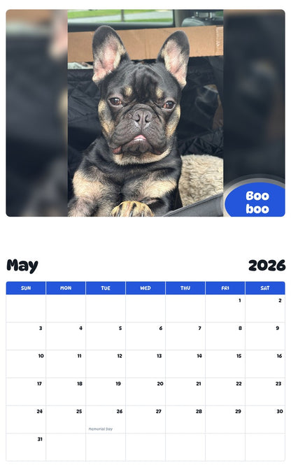 2026 - 2027 Boo boo - Pawidols Pet Calendar