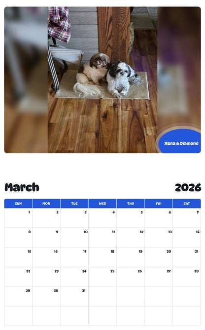 November 2025 - October 2026 Xena & Diamond - Pawidols Pet Calendar