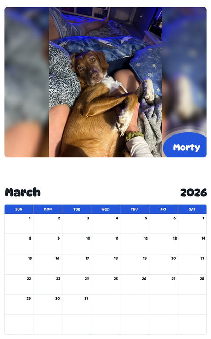 November 2025 - October 2026 Morty - Pawidols Pet Calendar