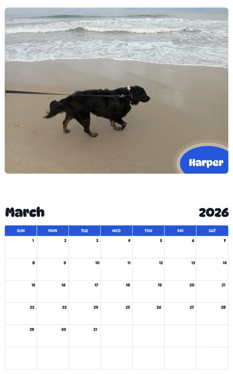 November 2025 - October 2026 Harper - Pawidols Pet Calendar