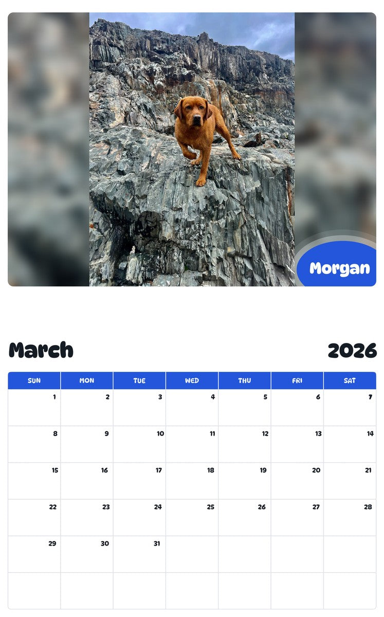 November 2025 - October 2026 Morgan - Pawidols Pet Calendar