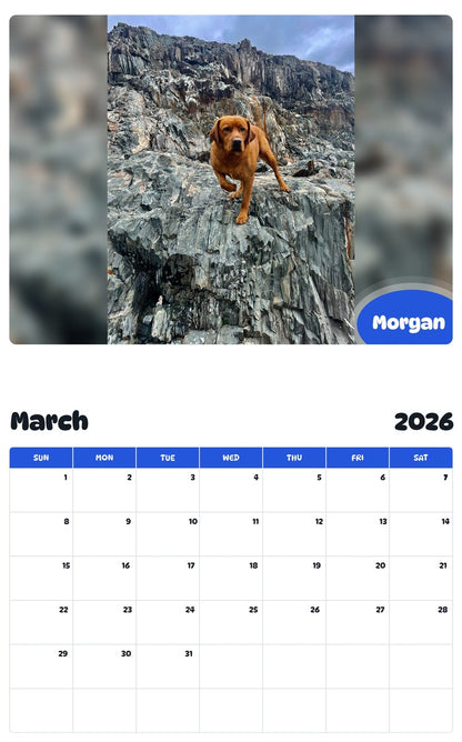 November 2025 - October 2026 Morgan - Pawidols Pet Calendar
