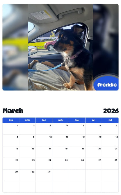 November 2025 - October 2026 Freddie - Pawidols Pet Calendar