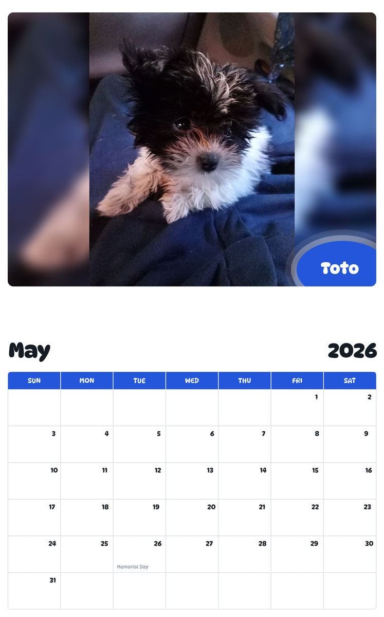 2026 - 2027 Toto - Pawidols Pet Calendar
