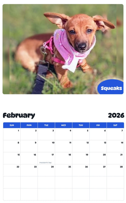 October 2025 - September 2026 Squeaks - Pawidols Pet Calendar