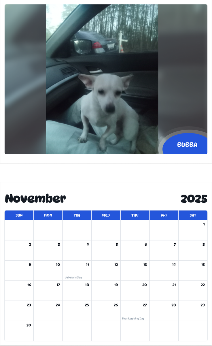 July 2025 - June 2026 Bubba - Pawidols Pet Calendar
