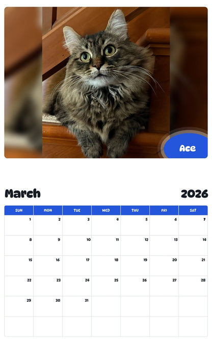 November 2025 - October 2026 Ace - Pawidols Pet Calendar