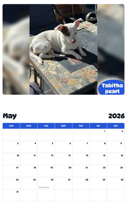 2026 - 2027 Tabitha pearl - Pawidols Pet Calendar