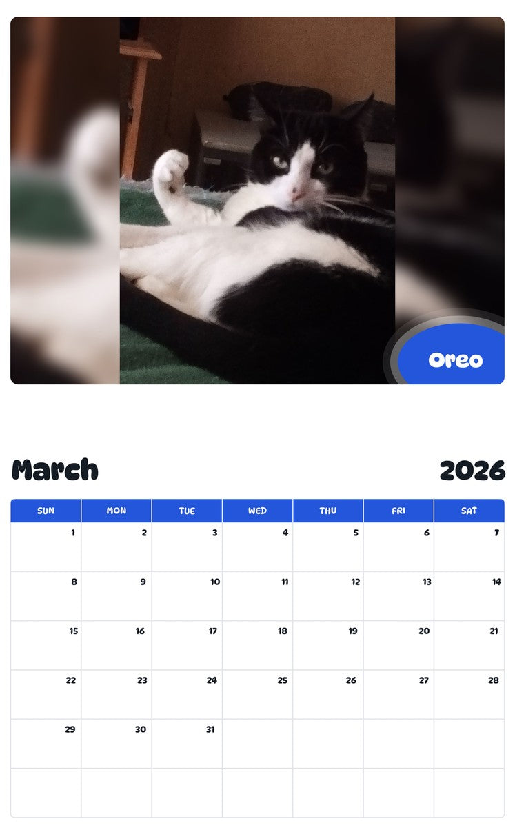 November 2025 - October 2026 Oreo - Pawidols Pet Calendar